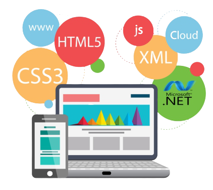 web development company in Pune